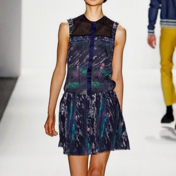 Timo Weiland Dresses & Skirts - Timo Weiland Runway Pleated Mesh Panel Dress